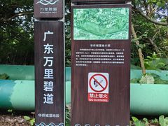 -华侨城湿地公园