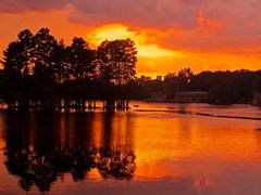 -东湖食堂·湖景餐厅•会议