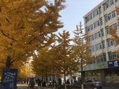 -东北大学(南湖校区)