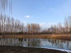 -东郊湿地公园