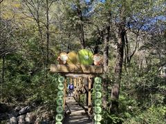 -大岭沟猕猴桃谷风景区