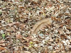 -森林公园(尖草坪区)