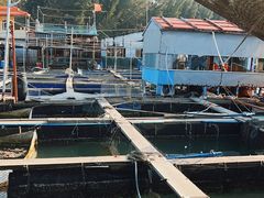-蓝湾碧波·老字号·疍家非遗海上餐厅