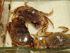 -万龙洲海鲜(大兴绿地缤纷城店)