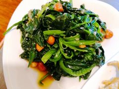 菠菜-白记四益轩(枣林前街店)
