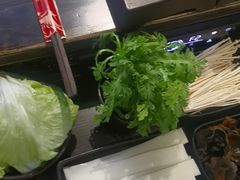 -火凤祥鲜货火锅·清真食品(宁夏总店)