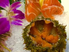 -红叶日料·放题·海胆·定食(星海店)