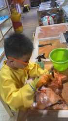 -宝燕乐园(闵行旗舰店)