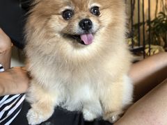 -J Create城市露营咖啡·简餐·宠物(上海动物园店)