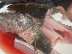 -活鱼馆(宜兴埠店)