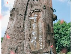 -青青世界
