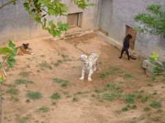 -西霞口神雕山野生动物世界