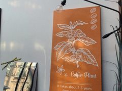 -Vanilla Specialty Coffee(八大关店)