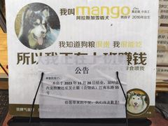 -more than meow吴止猫主题餐厅(承德 中船汇店)