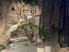 -zoonana室内动物园(东方福来德店)