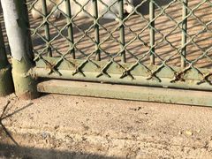 -宿豫区运河湾森林动物园