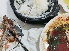 -煲来饱去冷水鱼