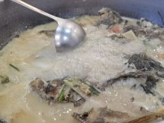 -岩泊渡桂鱼楼活鱼馆