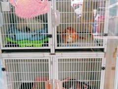 -拜鲁耶动物诊疗中心·宠家动物医院