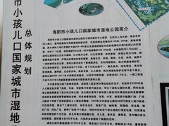 -鉴湖国家城市湿地公园