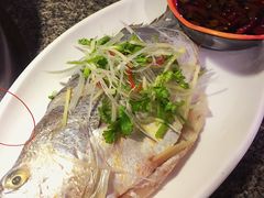 黄花鱼-船梆煮•蒸汽海鲜·炉火烤肉(五四广场店)
