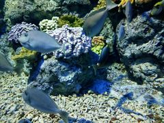 -福州罗源湾海洋世界旅游区