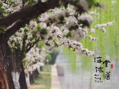-海棠花溪(元大都城垣遗址公园)