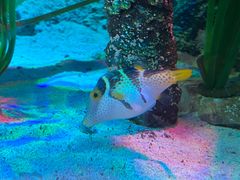 -沈阳海洋探索中心