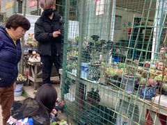 -金陵花卉交易市场