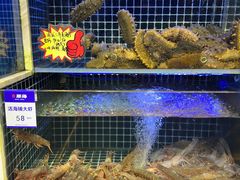 -开海·红岛海鲜虾水饺(石老人店)