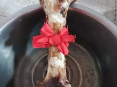 -翊宠yipet猫狗购宠庄园犬舍•猫舍