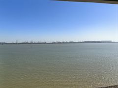 -大湾区中央湿地公园