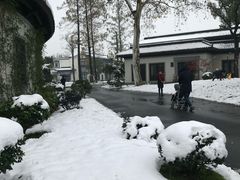 -杭州西湖柳莺里酒店