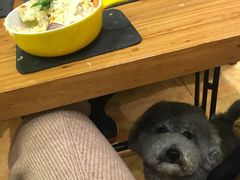 -more than meow吴止猫主题餐厅(承德 中船汇店)