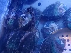 -福禧荟·海鲜自助
