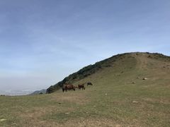 -大姆山草场