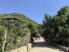 -大岭沟猕猴桃谷风景区