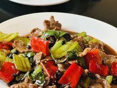 见手青又嫩又鲜-南蛮子(进贤路店)