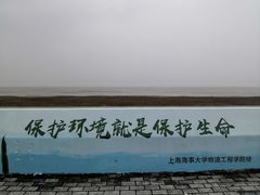 -南汇嘴观海公园