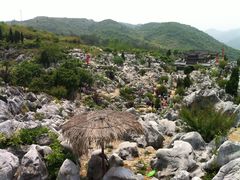-大余丫山旅游度假区