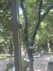 -南京医科大学友谊整形外科医院