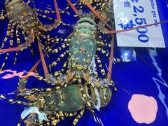 -兰坡海鲜市场