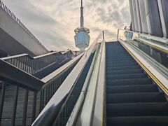 -陕西广播电视塔