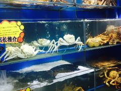 水产区-蚝专家(北滘店)