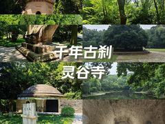 -灵谷景区