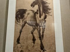 -乐山市博物馆