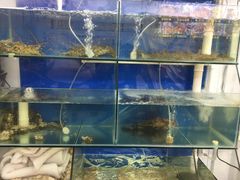水产区-老闽味姜母鸭·煎蟹闽菜餐厅(曾厝垵地标店)