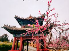 -关林