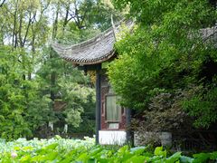 -桂湖森林公园