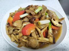 -田螺阿姨自营月嫂·育儿嫂(高新店)